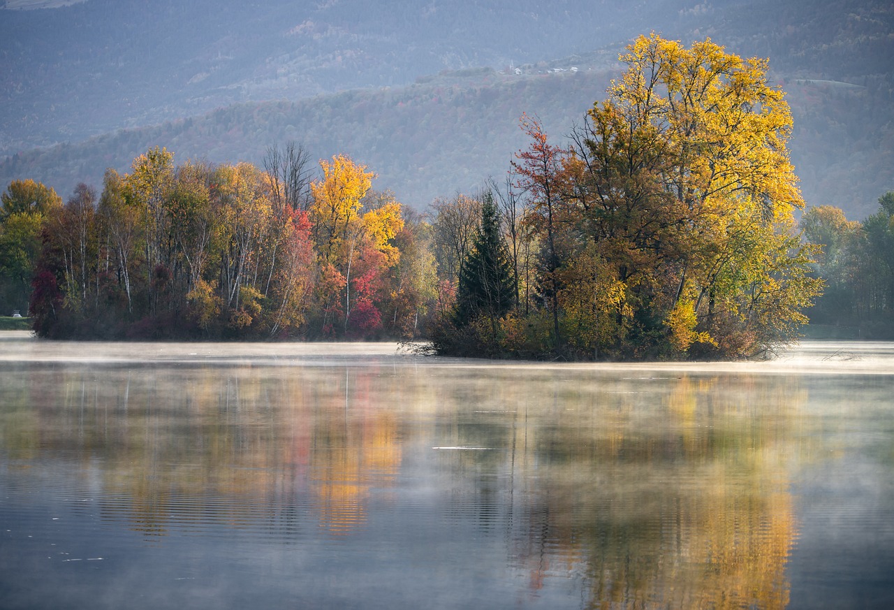 lake, nature, autumn-5691976.jpg